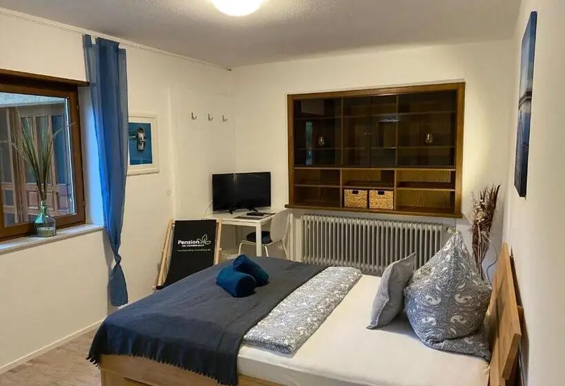 スタンダードシングルルーム, Pension Am Hohberghof Dielheim