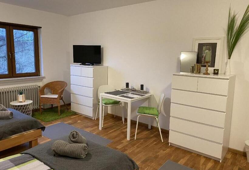 패밀리 룸, Pension Am Hohberghof Dielheim