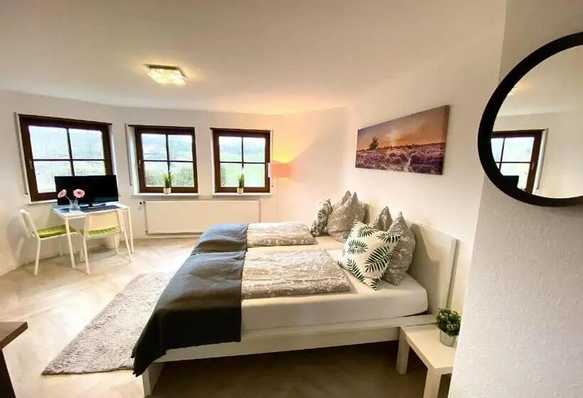ガーデンビューのスタンダードワンルーム, Pension Am Hohberghof Dielheim