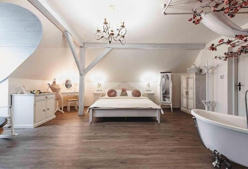 Люкс Повышенной Комфортности, Resort Mlýn černovice