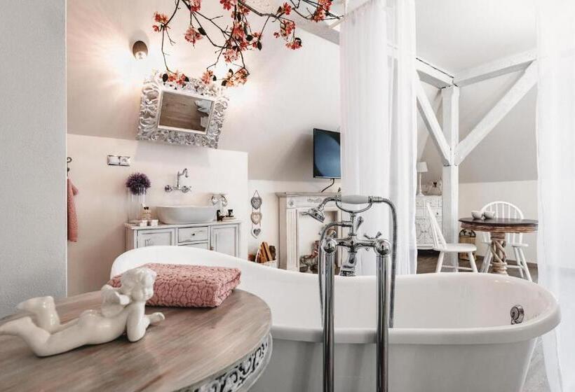 Люкс Повышенной Комфортности, Resort Mlýn černovice