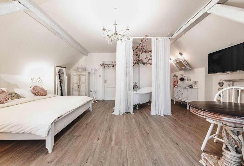 디럭스 스위트, Resort Mlýn černovice