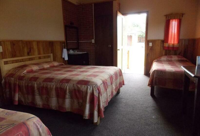 基本三人间, Campestre Don Luis