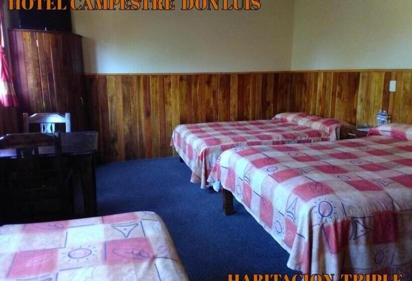 基本三人间, Campestre Don Luis