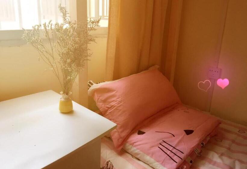 공동 객실, Libo Music Story International Youth Hostel