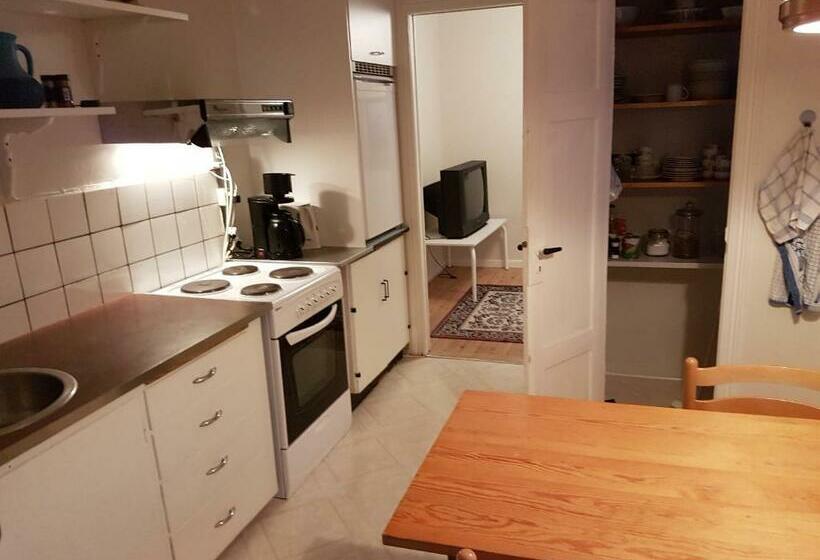 חדר אקונומי יחיד, Budget Guesthouse Borgustova