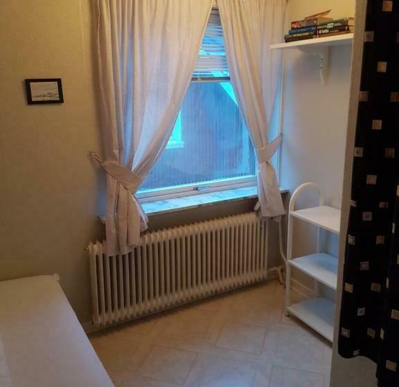 חדר אקונומי יחיד, Budget Guesthouse Borgustova