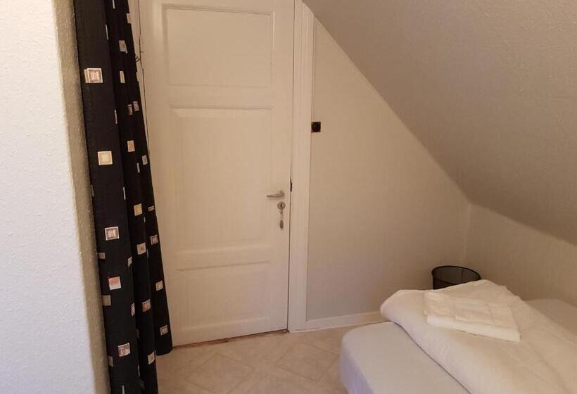 חדר אקונומי יחיד, Budget Guesthouse Borgustova