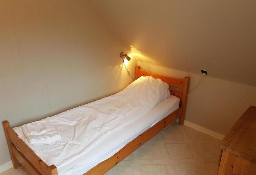 חדר אקונומי יחיד, Budget Guesthouse Borgustova