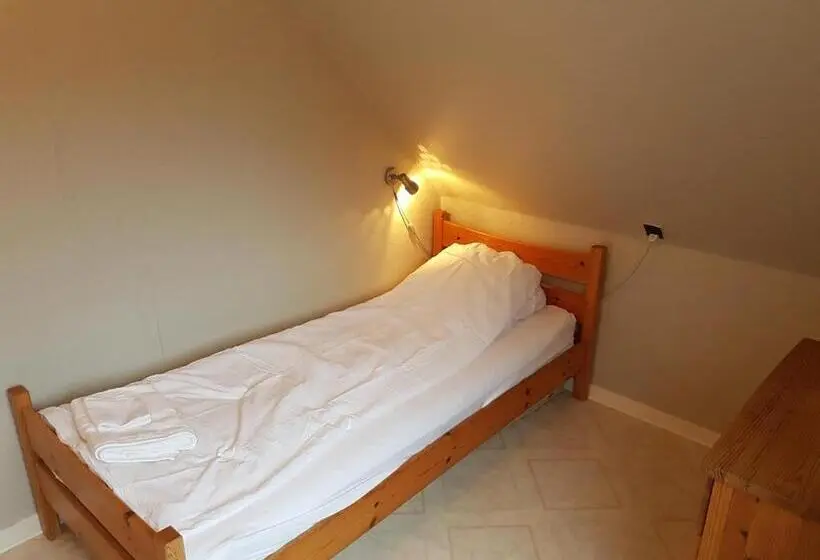 اتاق اکونومی یک تخته, Budget Guesthouse Borgustova