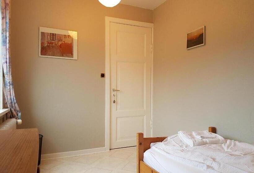 חדר אקונומי יחיד, Budget Guesthouse Borgustova