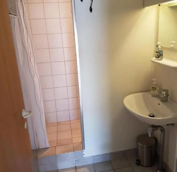 آپارتمان 1 خوابه, Budget Guesthouse Borgustova