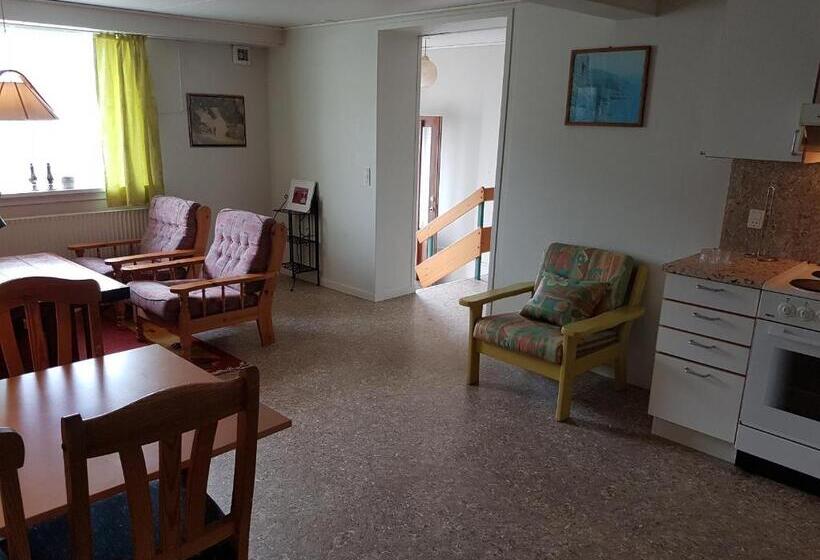 Апартаменты 1 Спальня, Budget Guesthouse Borgustova