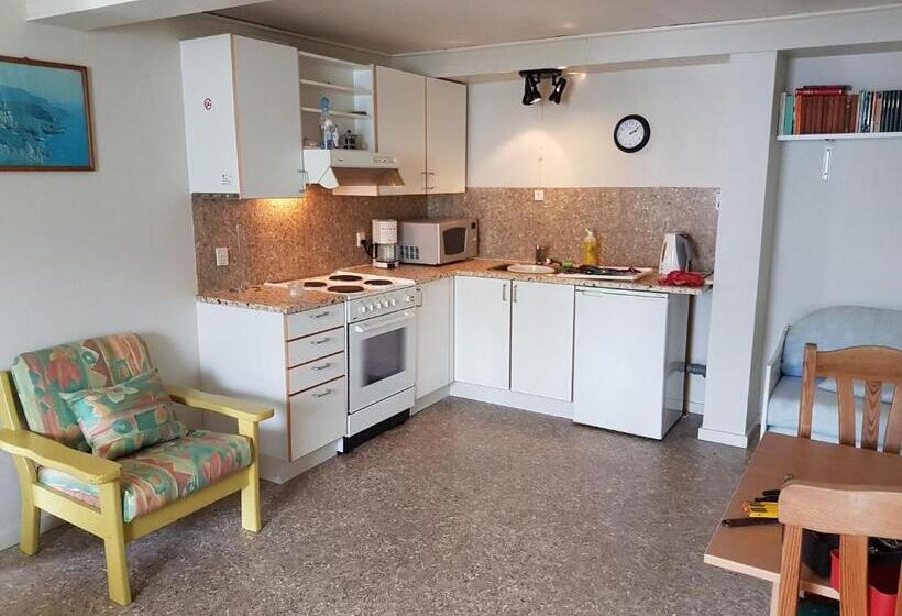 דירת חדר, Budget Guesthouse Borgustova