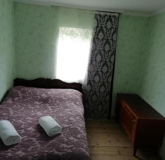 اتاق استاندارد با سرویس بهداشتی مشترک, Chvibiani Guesthouse & Bar