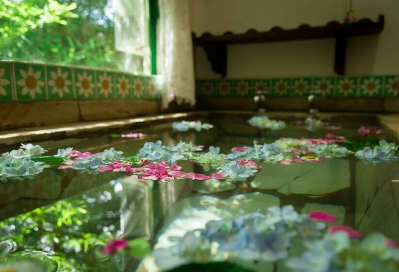 シャレー1寝室, Pousada Trem Das Cores