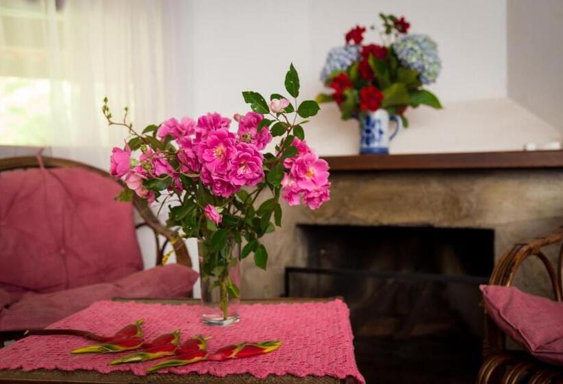 キングサイズベッドのスタンダードルーム, Pousada Trem Das Cores