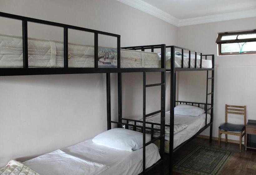 تختخواب در اتاق مشترک, Tj Guest House