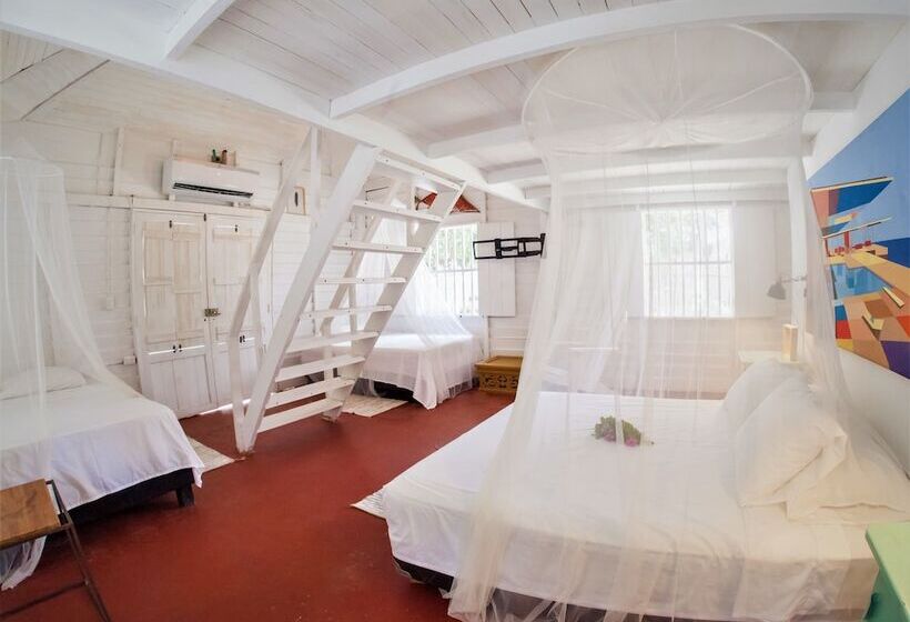 家族用バンガロー, Fenix Beach Cartagena