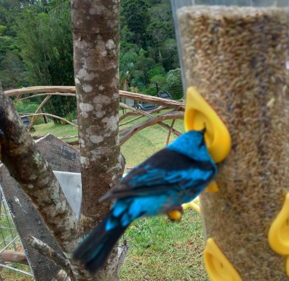 Deluxe Kamer, Pousada Olivier Da Montanha   Recanto Das águas