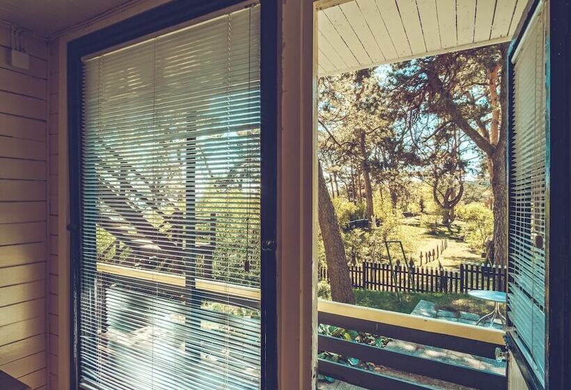 اتاق استاندارد, Kastytis