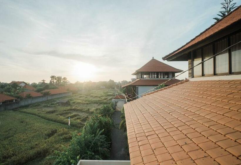 اتاق لوکس, Kent Beach House