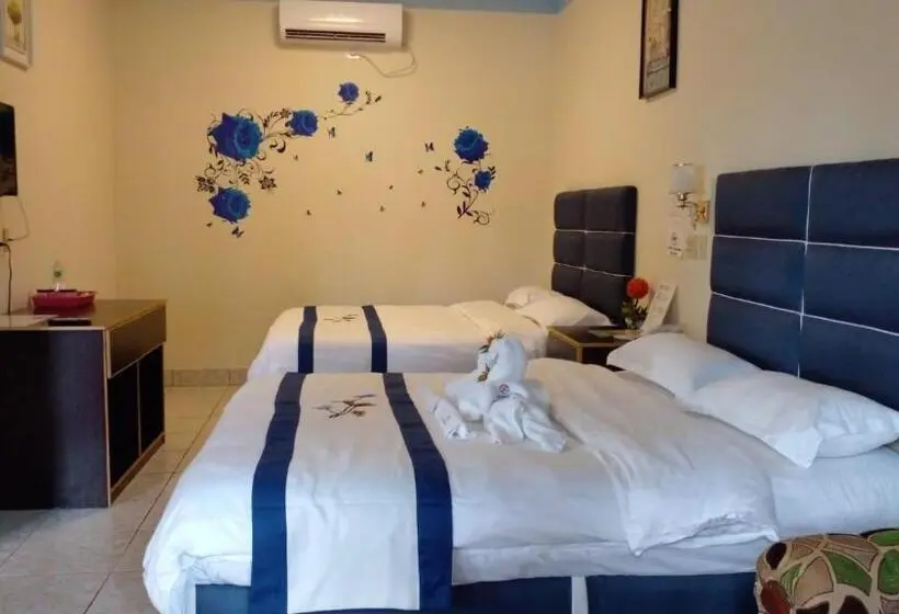 اتاق استاندارد, Sunshine View Hotel And Restaurant
