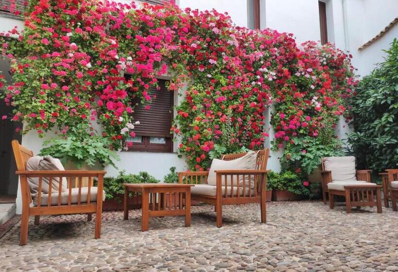 آپارتمان 1 خوابه, Alhajas De Cordoba