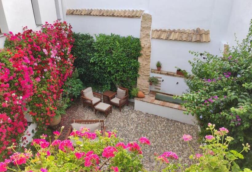 آپارتمان 1 خوابه, Alhajas De Cordoba