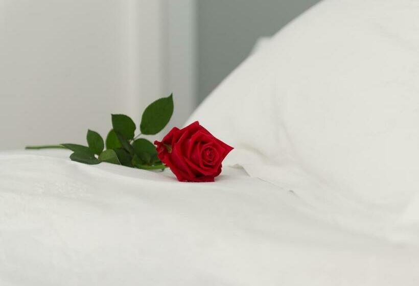 إستوديو قياسى مطل على البحر, Agrilea