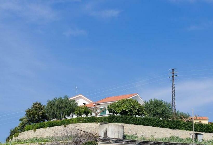 إستوديو قياسى مطل على البحر, Agrilea