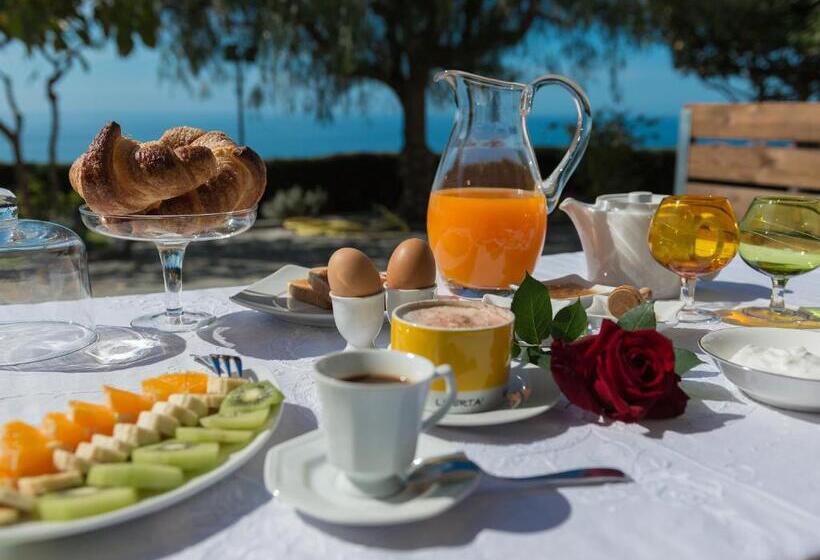 جناح مزود بتراس, Agrilea