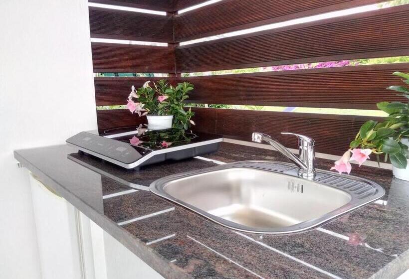 جناح مزود بتراس, Agrilea