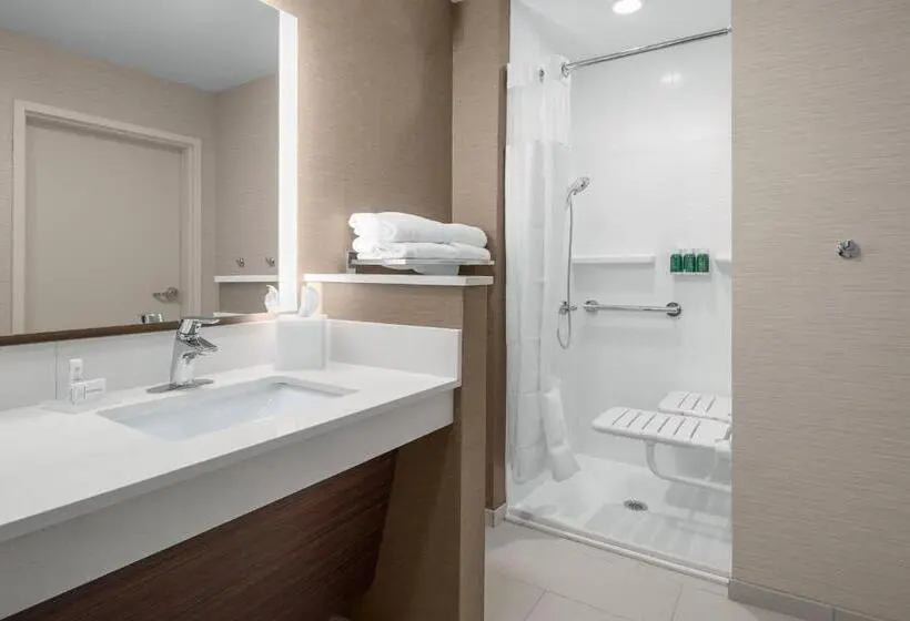 スタンダードルーム, Fairfield Inn & Suites By Marriott Memphis Marion, Ar