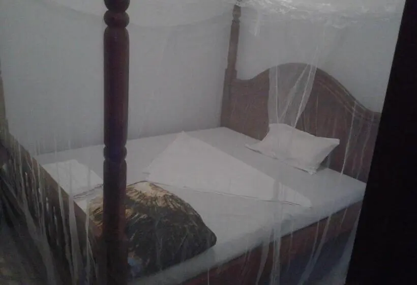 اتاق استاندارد, Freedom Guest House