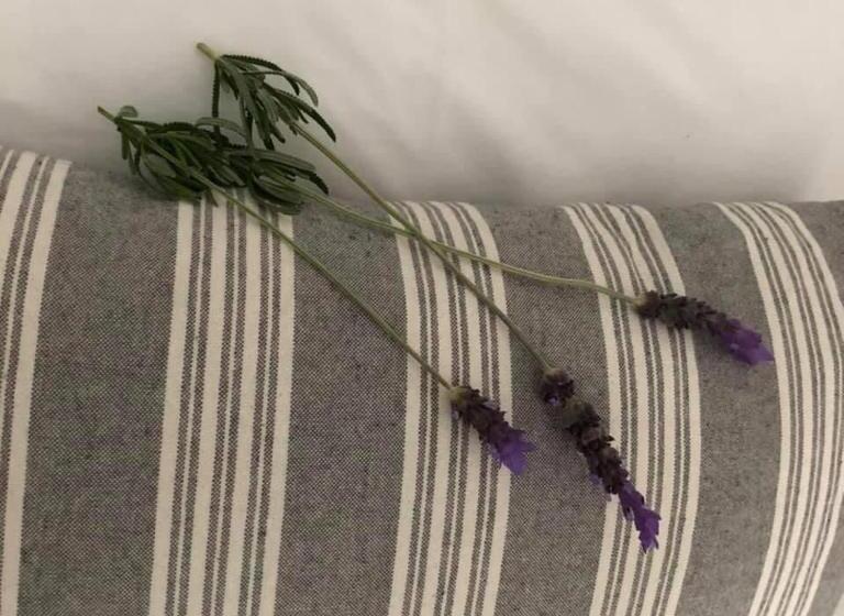 غرفة ديلوكس, Kleinmond Lodge