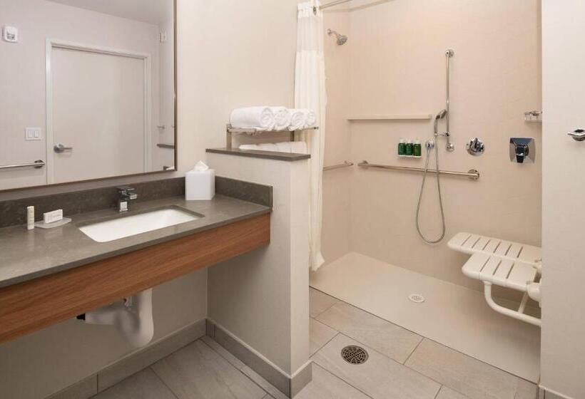 キングサイズベッドのスタンダードルーム, Fairfield Inn & Suites By Marriott Wenatchee