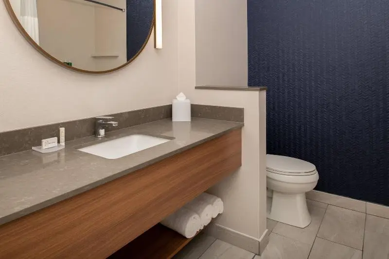 اتاق استاندارد با تخت بزرگ, Fairfield Inn & Suites By Marriott Wenatchee
