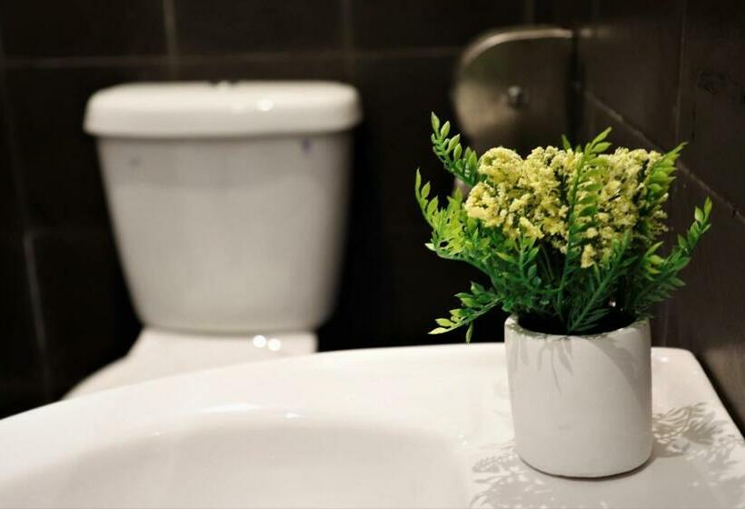 Quarto Familiar Deluxe, Halo