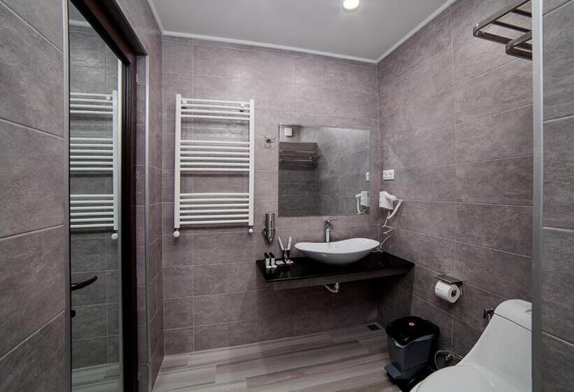 اتاق استاندارد سه نفره, Amiran S Park