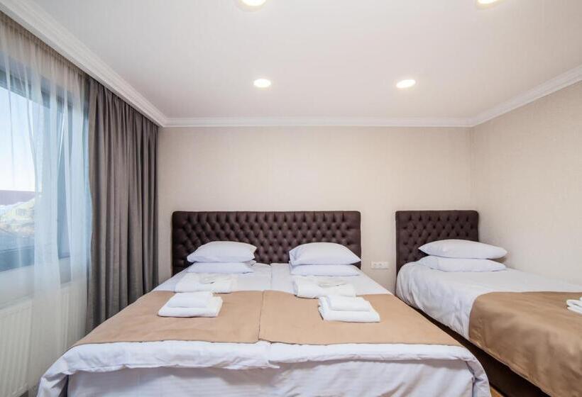 سوئیت با بالکن, Amiran S Park