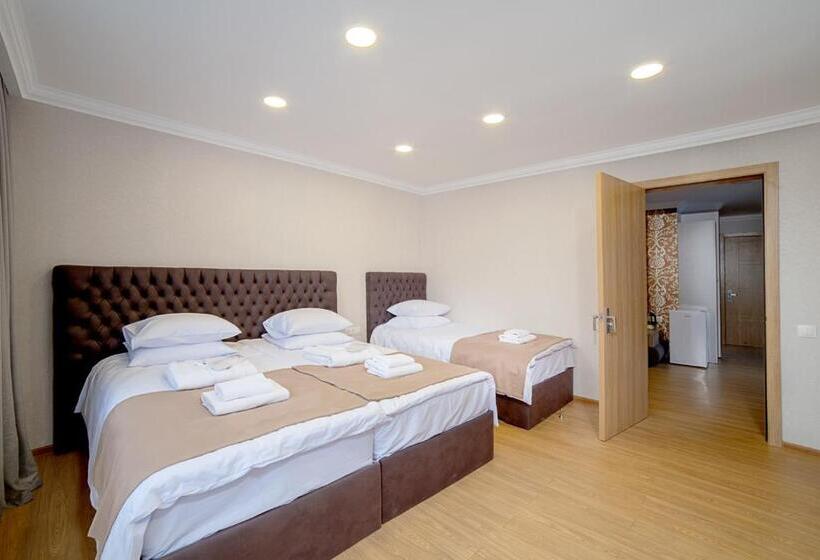 سوئیت با بالکن, Amiran S Park