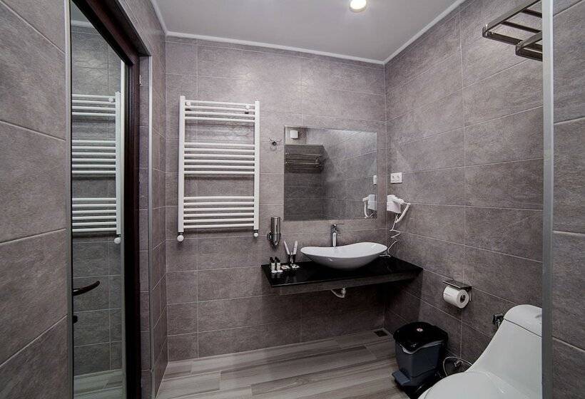 اتاق استاندارد سه نفره, Amiran S Park