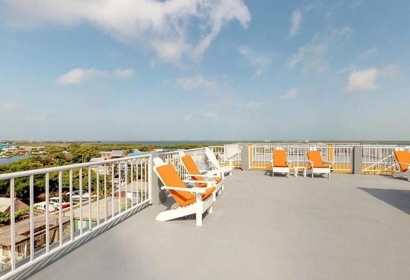 침실 1개 아파트, Laguna