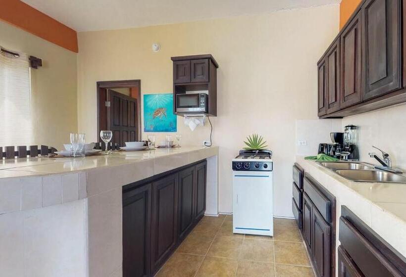 침실 1개 아파트, Laguna