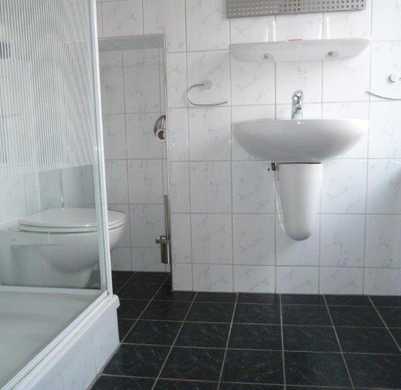 Номер Стандарт, Pieter De Coninck