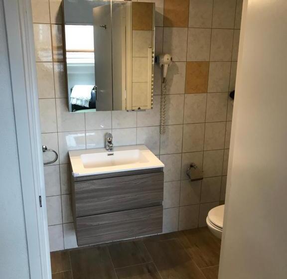 Полулюкс, Pieter De Coninck