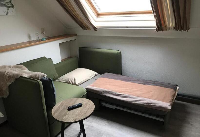 Полулюкс, Pieter De Coninck