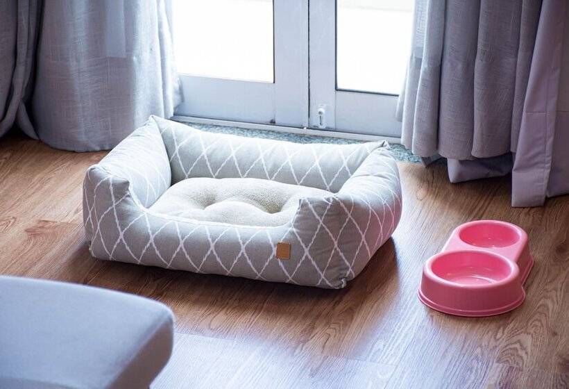 اتاق لوکس, Bisinii Boutique