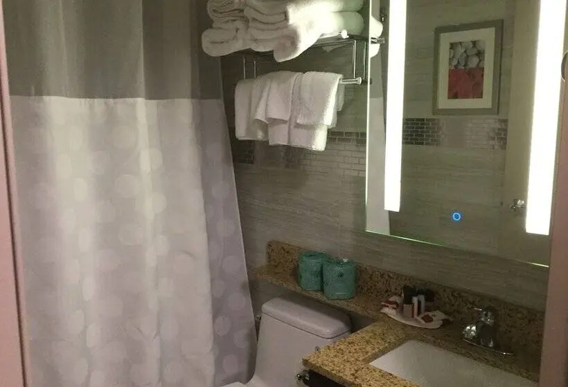 اتاق استاندارد با 2 تخت دوبل, Ramada By Wyndham Bronx Terminal